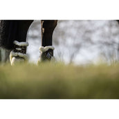 Veredus Strijklappen Carbon Gel Absolute Save the Sheep Rear Bruin Veredus Strijklappen Carbon Gel Absolute Save the Sheep Rear Bruin