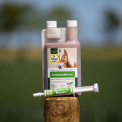 Vitalstyle ImmunoBoost+ Vitalstyle ImmunoBoost+