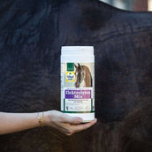 Vitalstyle Elektrolyten Mix Paard Vitalstyle Elektrolyten Mix Paard