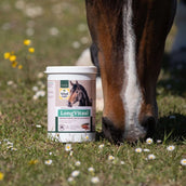 Vitalstyle LongVitaal Vitalstyle LongVitaal