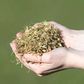 Vitalstyle Muesli Young & Breed Vitalstyle Muesli Young & Breed