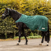 Waldhausen Stapmolendeken 100g Fir Green Waldhausen Stapmolendeken 100g Fir Green