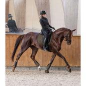 Waldhausen Beenbeschermers Comfort Fit Groen/Bruin Waldhausen Beenbeschermers Comfort Fit Groen/Bruin