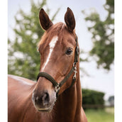 Waldhausen Halster Perlon Satin Groen/Bruin Waldhausen Halster Perlon Satin Groen/Bruin