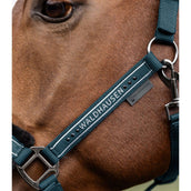 Waldhausen Halster Elegant Petrol Blue Waldhausen Halster Elegant Petrol Blue