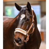 Waldhausen Halster Elegant Peach Waldhausen Halster Elegant Peach