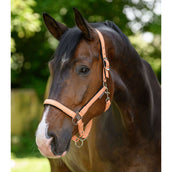 Waldhausen Halster Athletic Peach Waldhausen Halster Athletic Peach