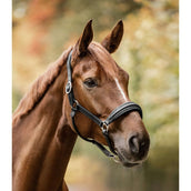 Waldhausen Halster S-Line Glamour Zwart Waldhausen Halster S-Line Glamour Zwart