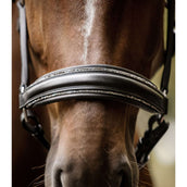 Waldhausen Halster S-Line Glamour Zwart Waldhausen Halster S-Line Glamour Zwart