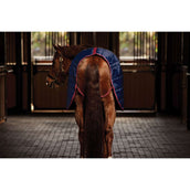 WeatherBeeta Staldeken ComFiTec 210D Channel Quilt Standard Neck 100g Navy/Burgundy WeatherBeeta Staldeken ComFiTec 210D Channel Quilt Standard Neck 100g Navy/Burgundy