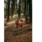 WeatherBeeta Dog Coat Reflective Parka 300D Orange WeatherBeeta Dog Coat Reflective Parka 300D Orange