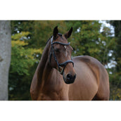 Collegiate Hoofdstel ComFiTec Vogue Anatomisch Zwart Collegiate Hoofdstel ComFiTec Vogue Anatomisch Zwart