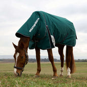WeatherBeeta ComFiTec Plus Dynamic Turnout Detach-A-Neck 360g Forest Green/Navy WeatherBeeta ComFiTec Plus Dynamic Turnout Detach-A-Neck 360g Forest Green/Navy