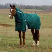 WeatherBeeta ComFiTec Plus Dynamic Turnout Detach-A-Neck 360g Forest Green/Navy WeatherBeeta ComFiTec Plus Dynamic Turnout Detach-A-Neck 360g Forest Green/Navy
