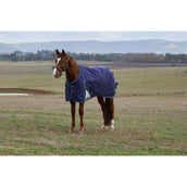 WeatherBeeta ComFiTec Plus Dynamic Turnout 220g Navy/Forest Green WeatherBeeta ComFiTec Plus Dynamic Turnout 220g Navy/Forest Green