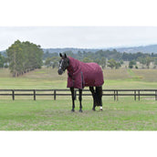 WeatherBeeta ComFiTec Essential Turnout Detach-A-Neck 220g Burgundy/Navy WeatherBeeta ComFiTec Essential Turnout Detach-A-Neck 220g Burgundy/Navy