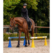 Waldhausen Balkenhouder voor Pionnen 4 Stuks Wit Waldhausen Balkenhouder voor Pionnen 4 Stuks Wit