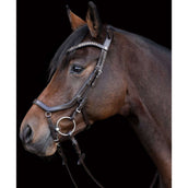 Waldhausen Hoofdstel X-Line Relaxation Bruin Waldhausen Hoofdstel X-Line Relaxation Bruin