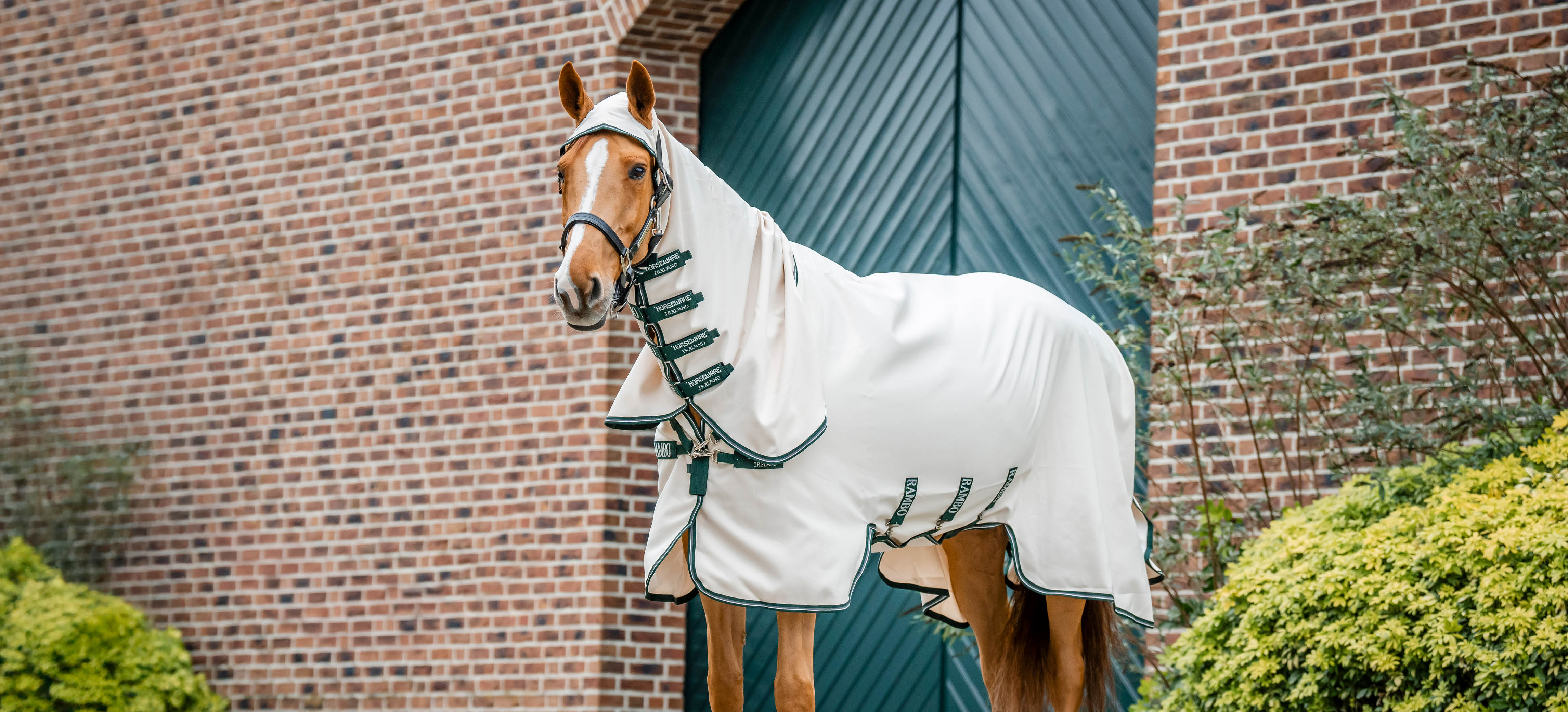 Eczeemdeken: zo kies je de juiste voor jouw paard