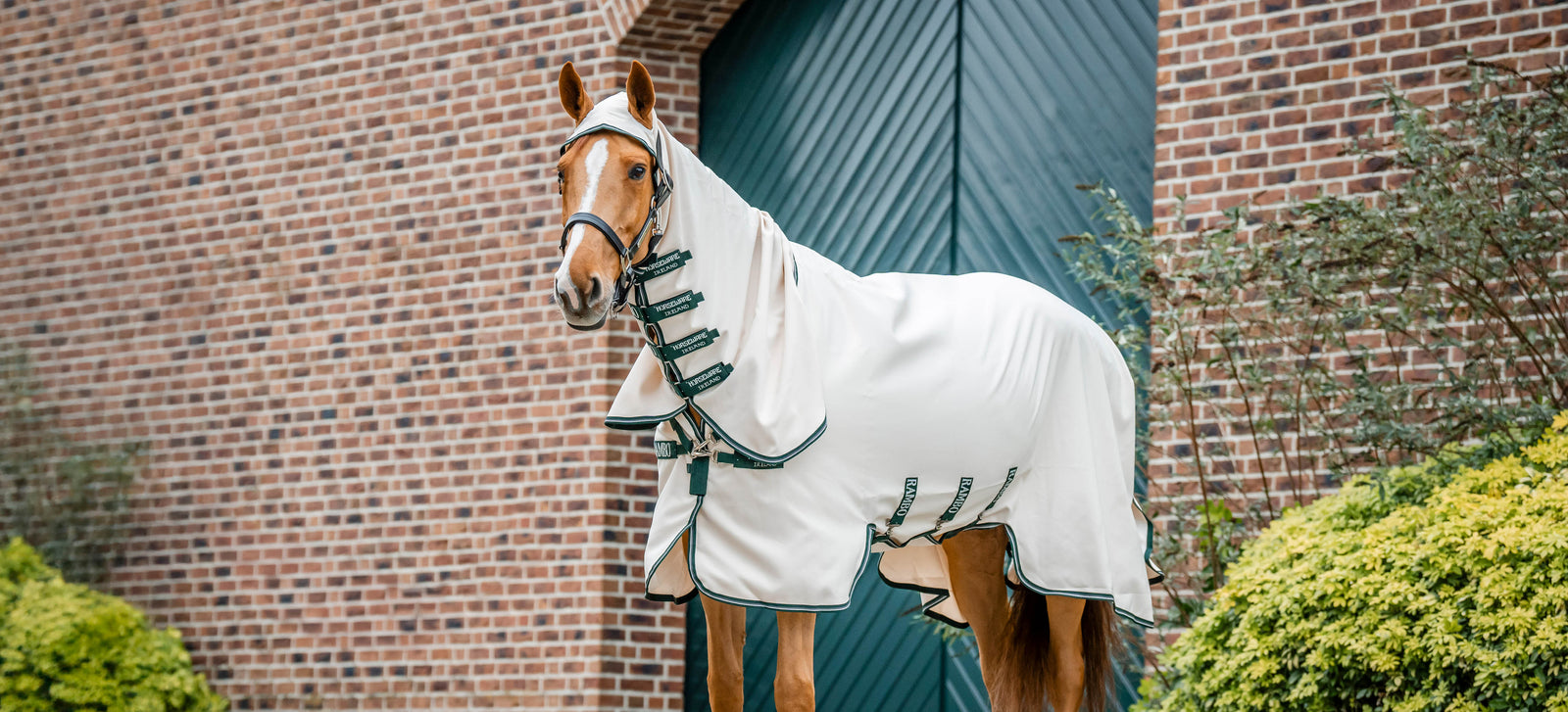 Eczeemdeken: zo kies je de juiste voor jouw paard