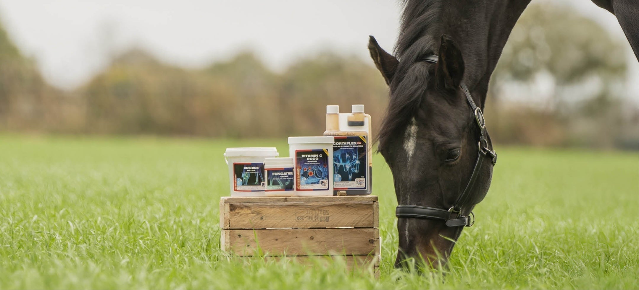Klaar voor het nieuwe seizoen? De lente- en zomerproducten van Equine America