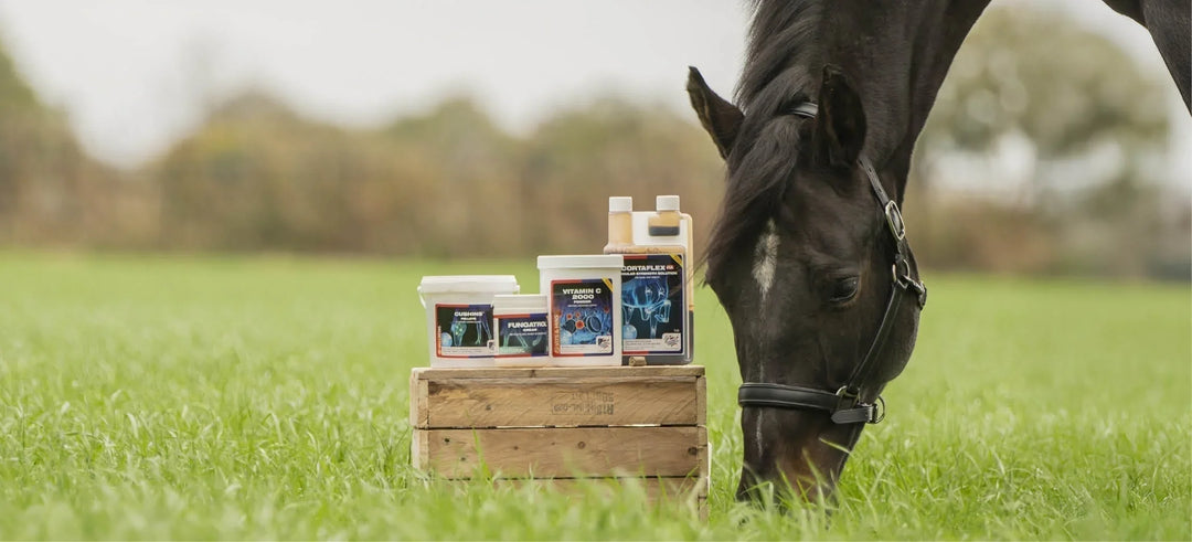Klaar voor het nieuwe seizoen? De lente- en zomerproducten van Equine America