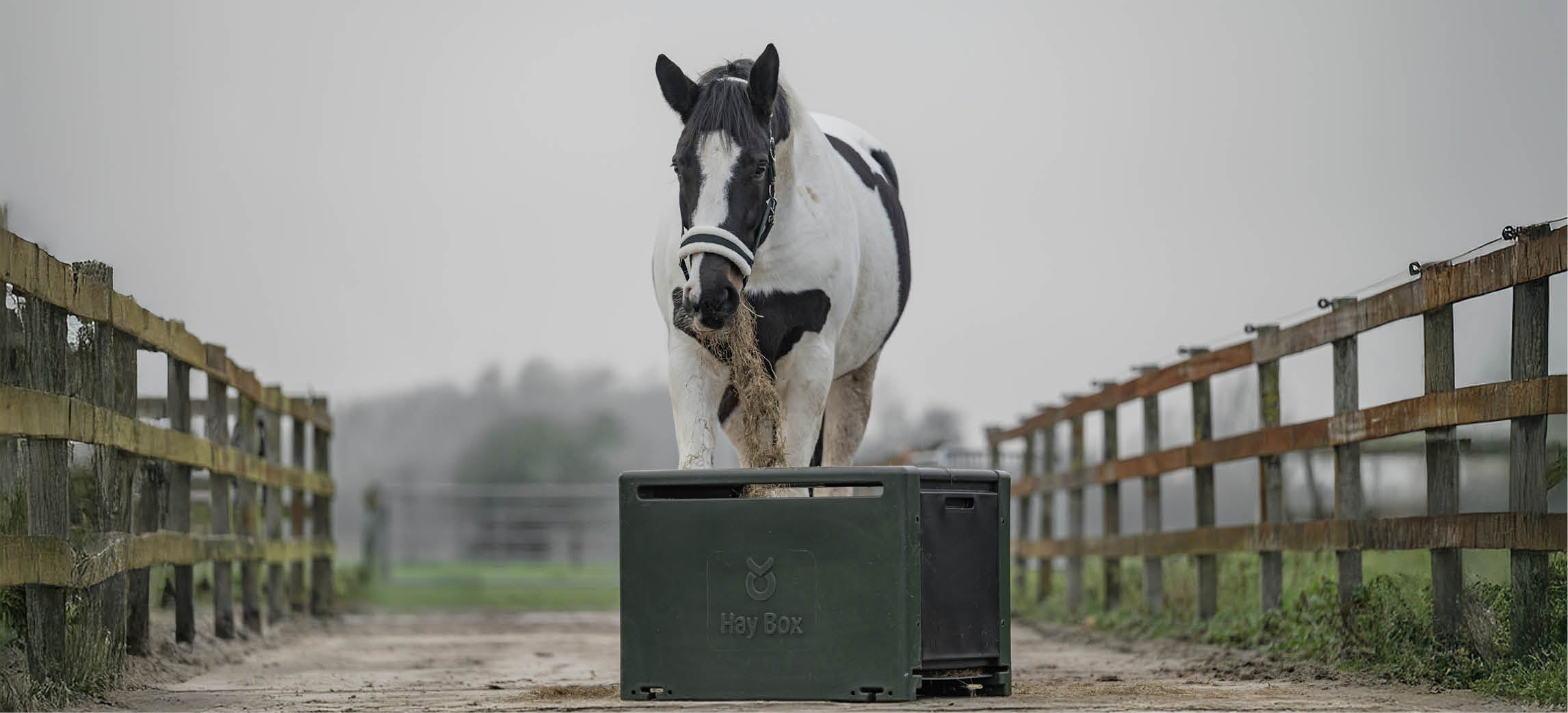 Slowfeeders voor paarden: kies de juiste oplossing voor hooi, brok en rustig eetgedrag