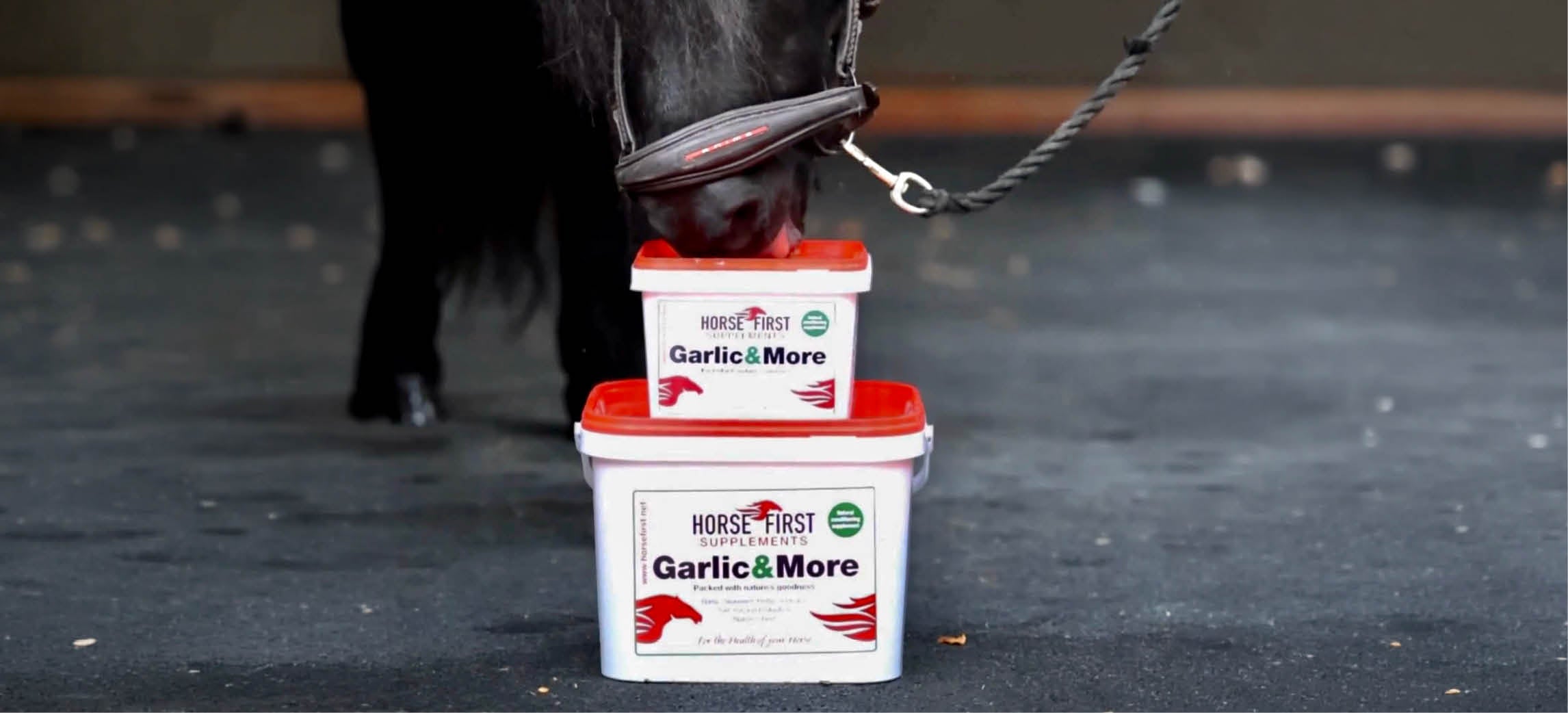 Je paard klaarmaken voor de herfst: een seizoensgids van Horse First
