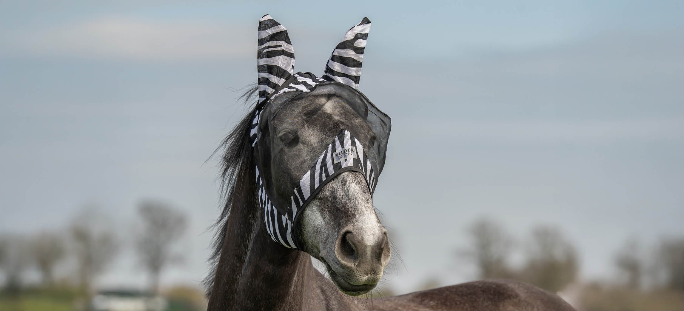 Vliegenmaskers voor paarden: zo kies je de juiste bescherming