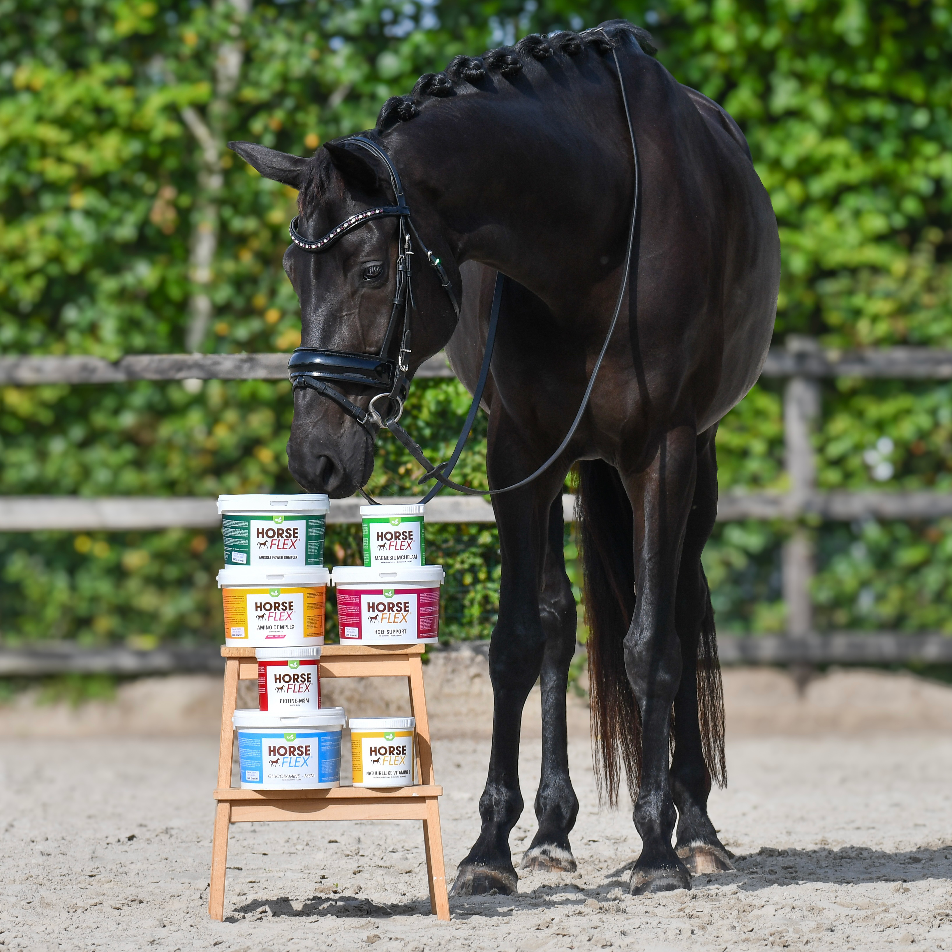 Alles over supplementen