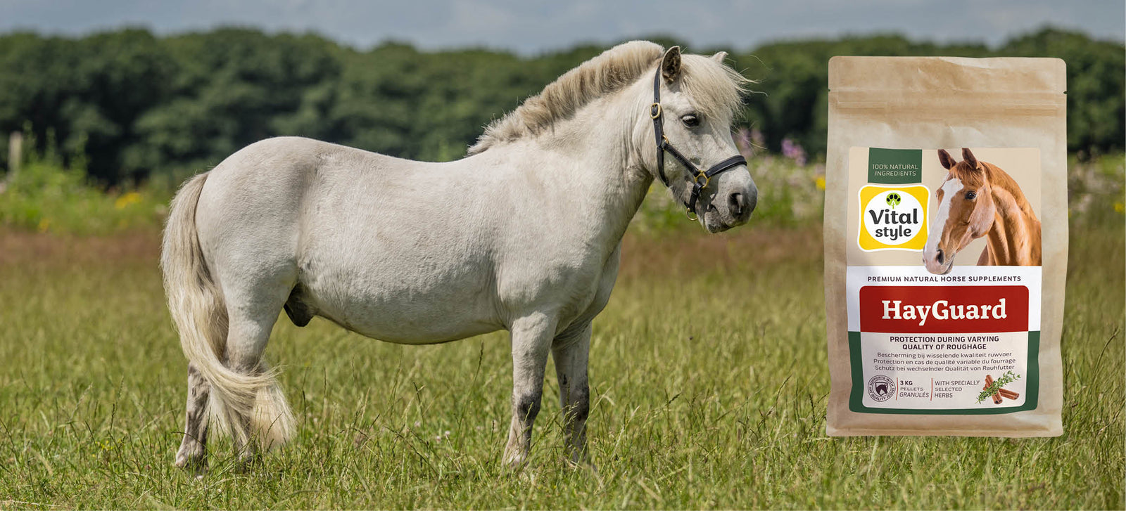 De voordelen van HayGuard bij slechte kwaliteit ruwvoer
