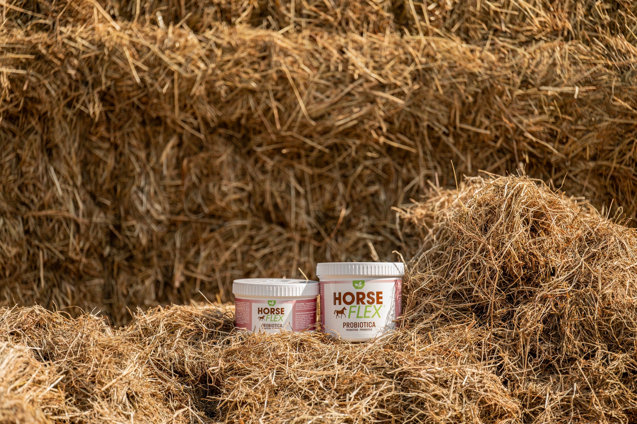 Het belang van een gezonde darmflora bij paarden