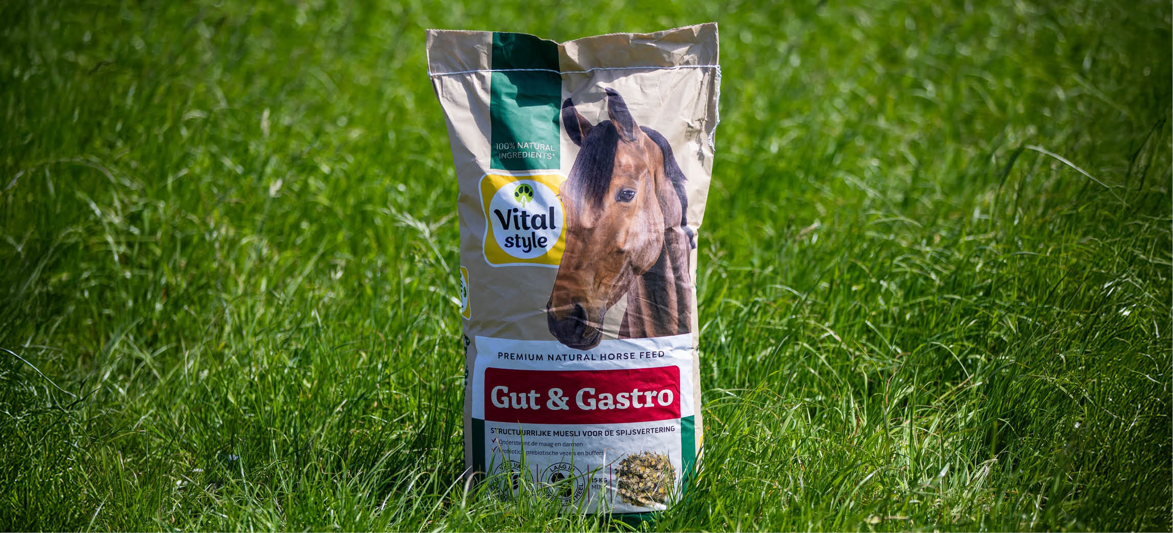 Vitalstyle paardenvoer uitgelicht