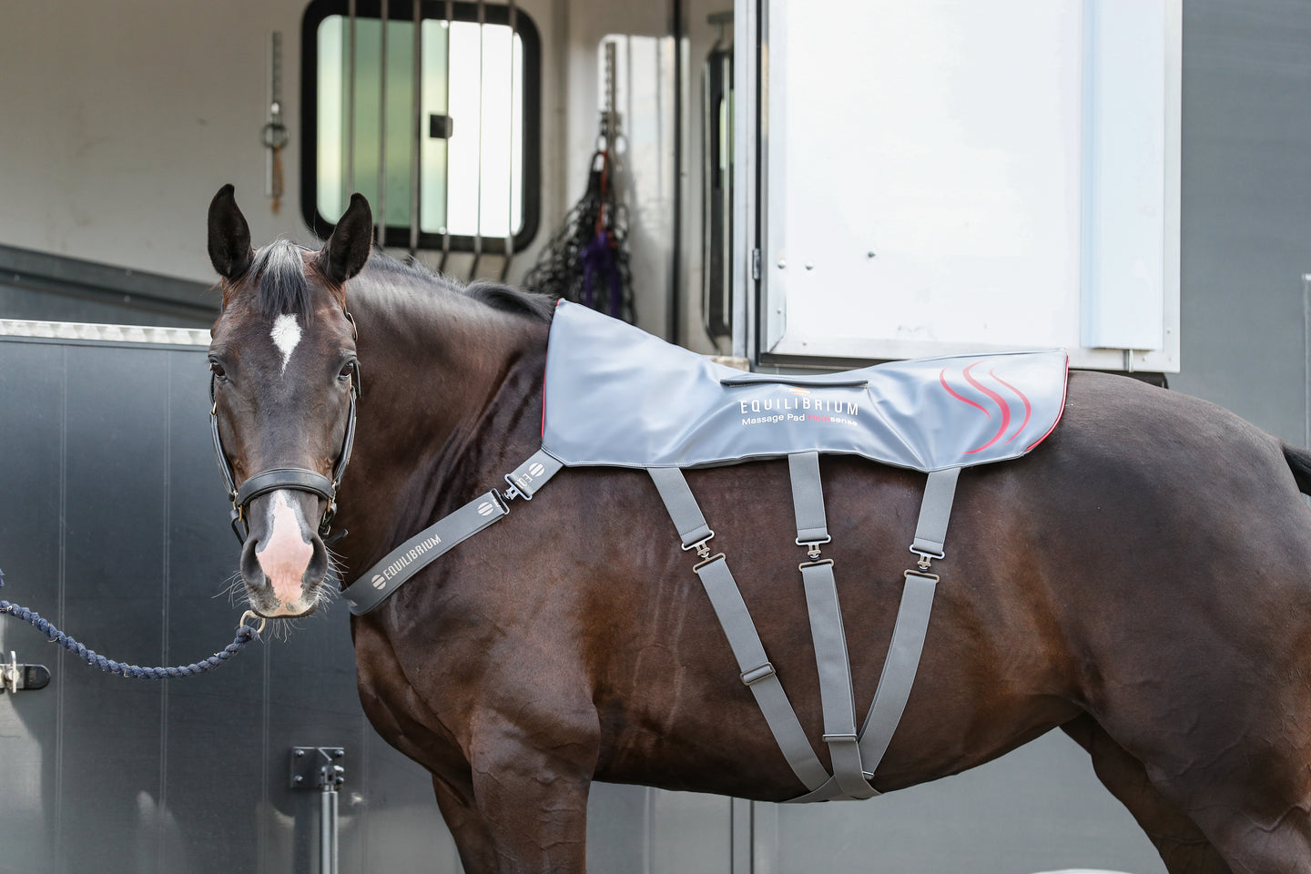 Voordelen van warmte en massage voor je paard