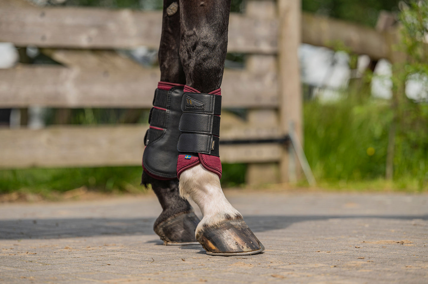 Waarom juist Back on Track Peesbeschermers?