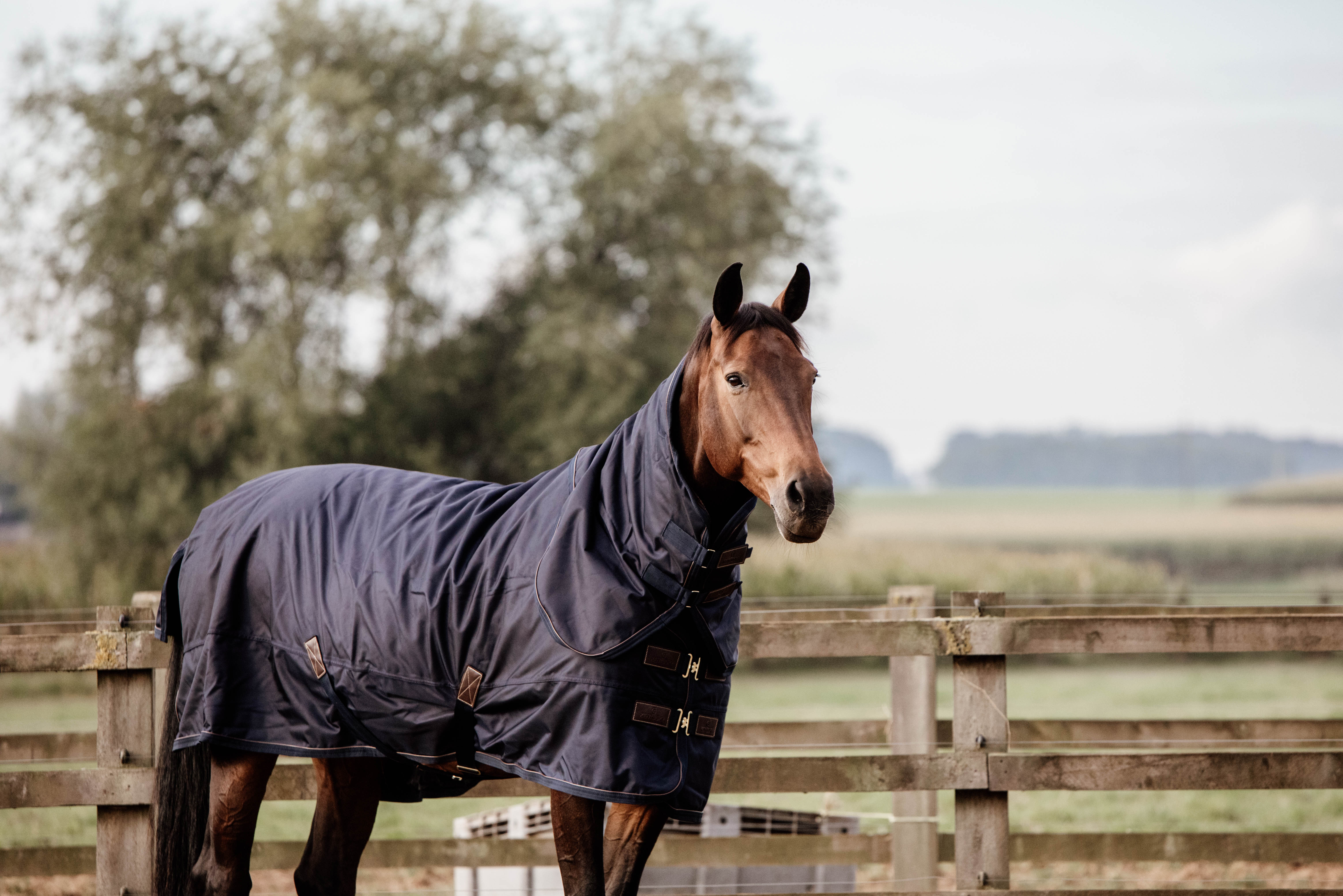 Ontdek de outdoordekens van Kentucky!