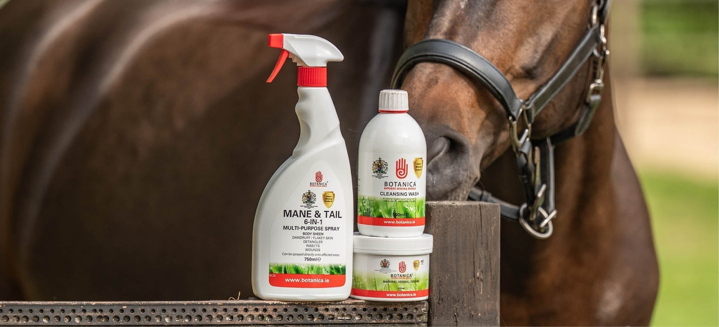 Help je paard bij jeuk!