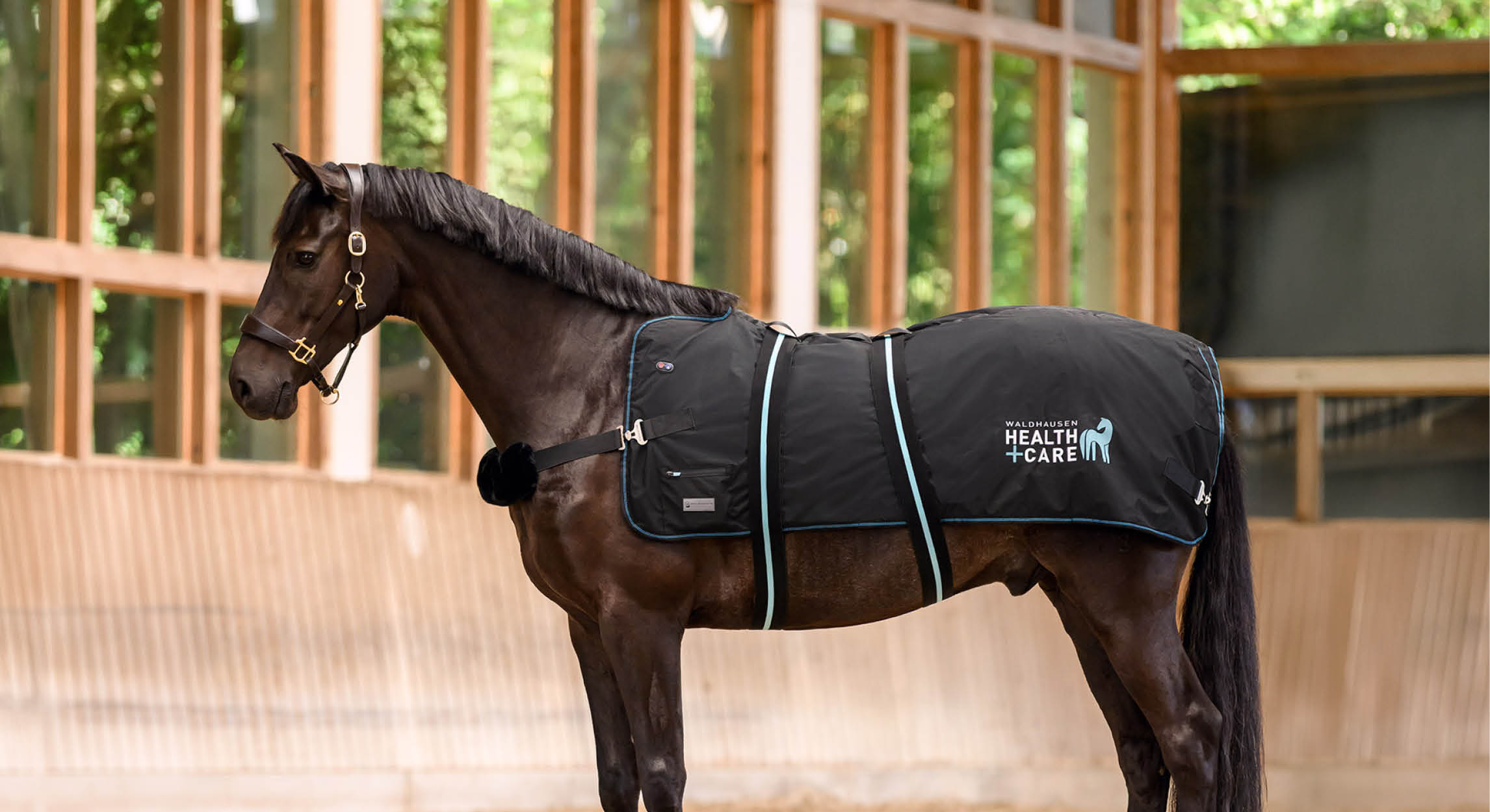 Warmte en massage voor je paard: Waldhausen Health + Care