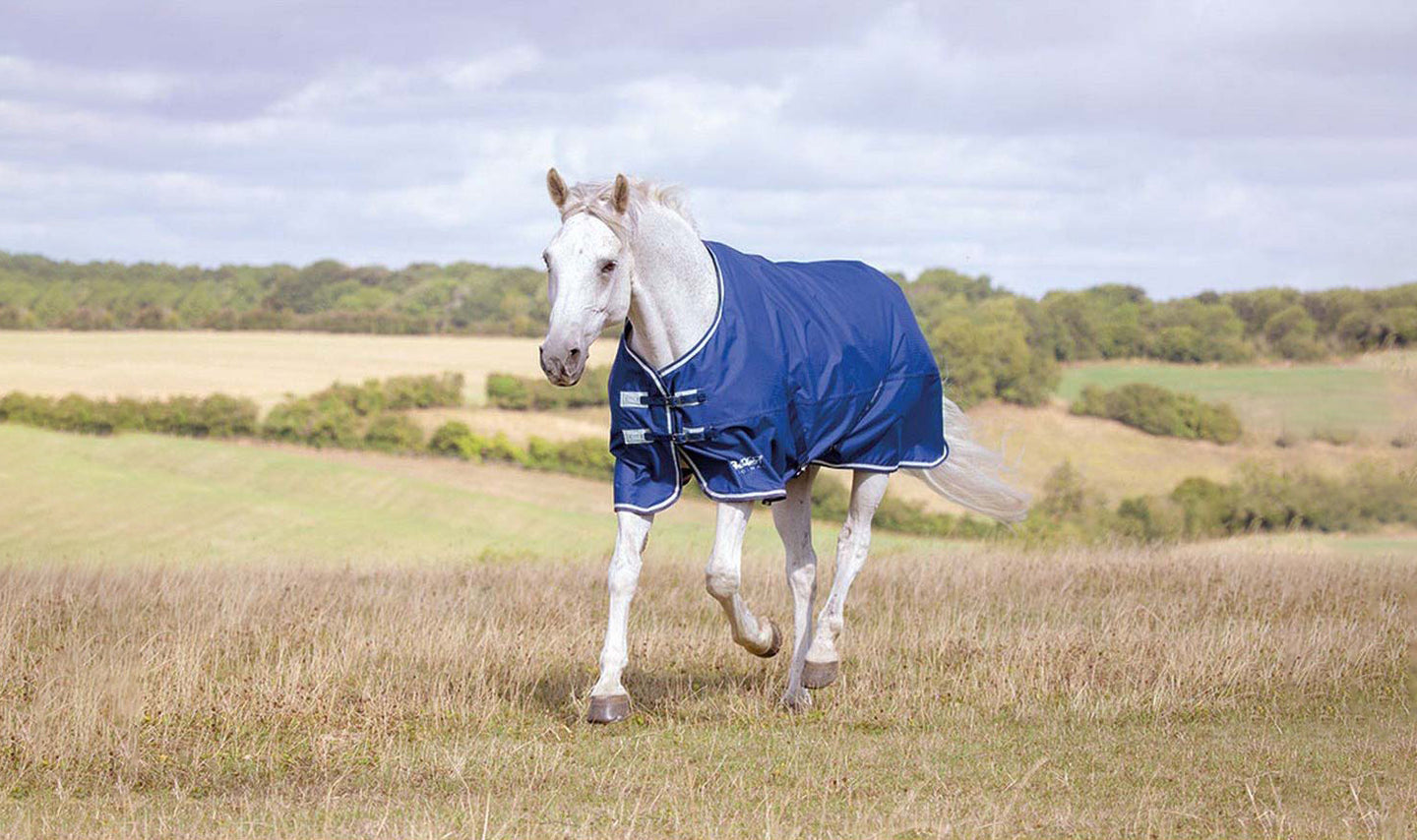 Zo zorg jij ervoor dat jouw paard comfortabel de herfst en winter doorkomt!