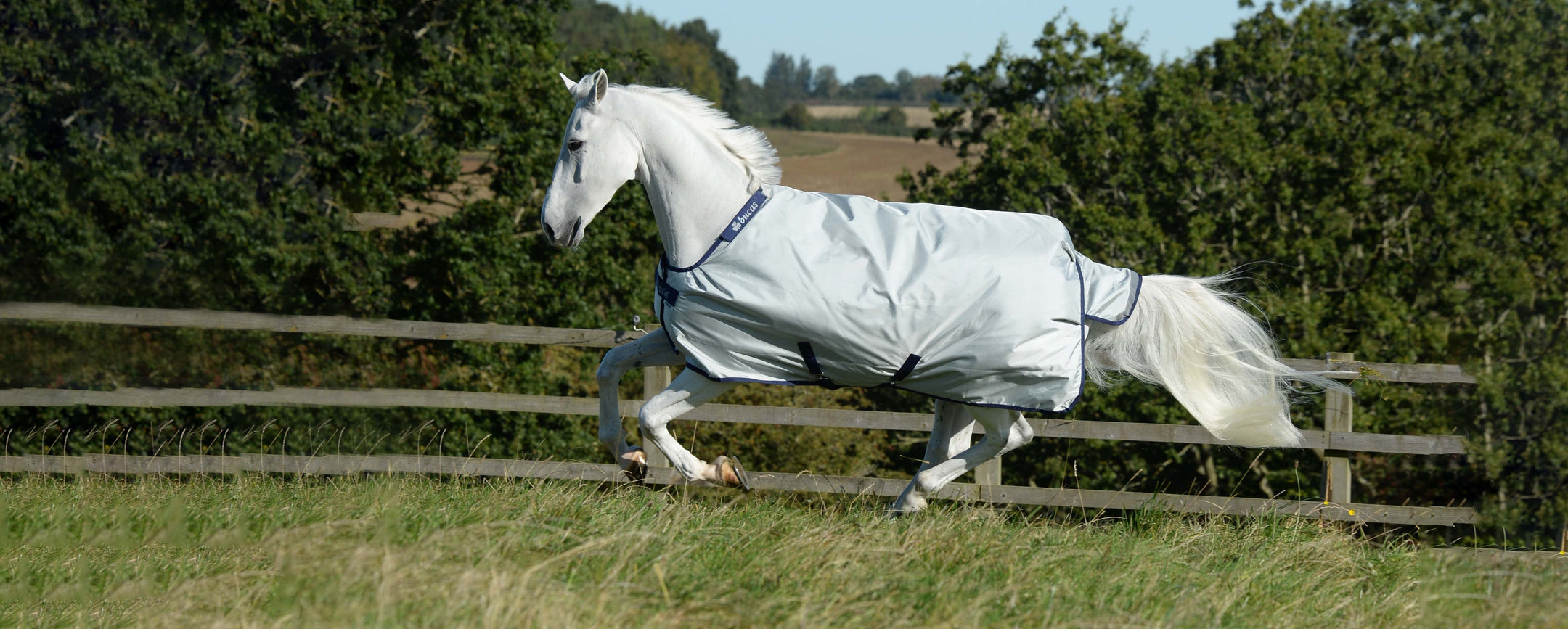 Bucas: Zo bescherm je jouw paard optimaal in het najaar!