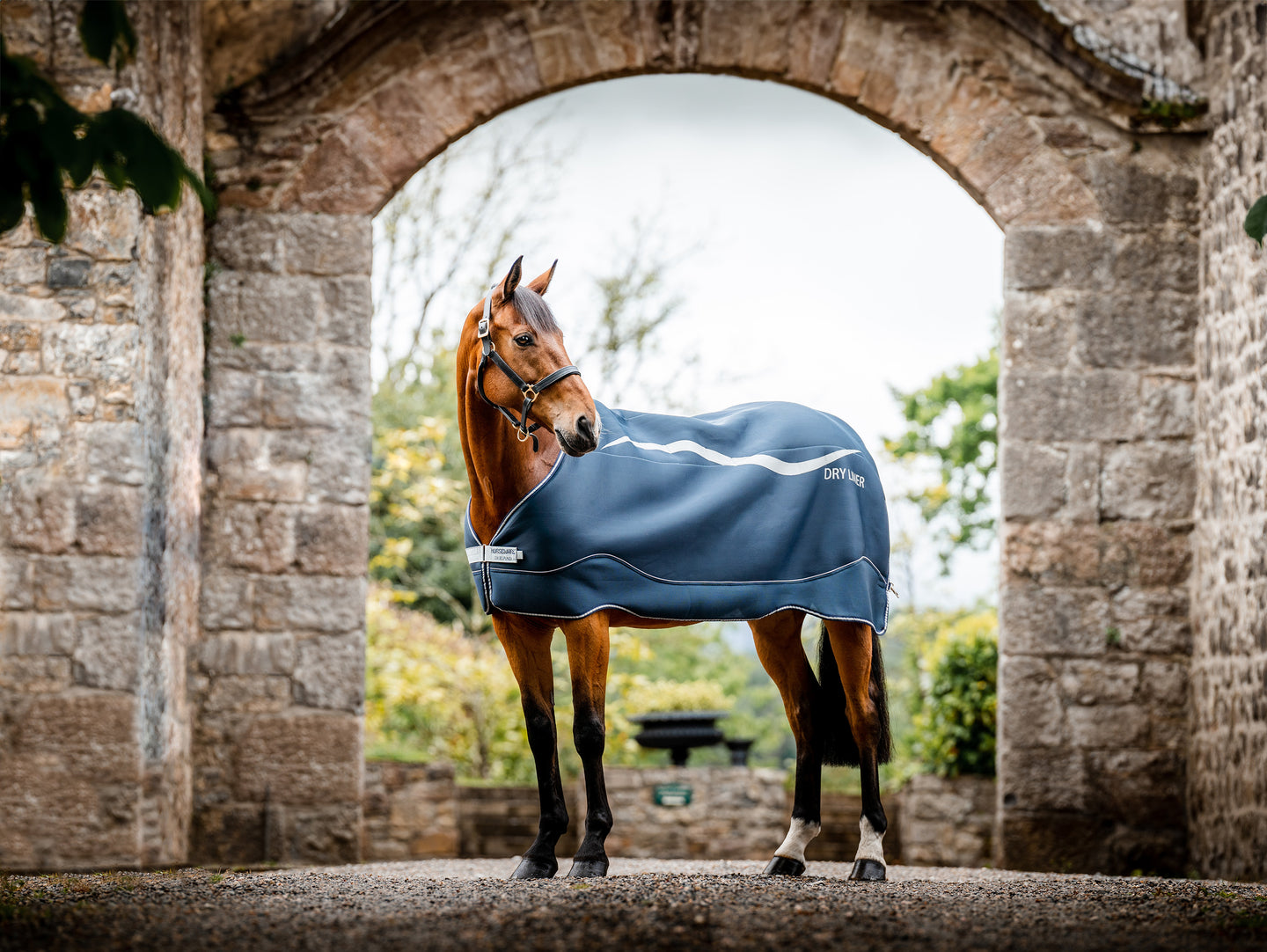 Alle Ins en Outs over de nieuwe Horseware Dry Liner!