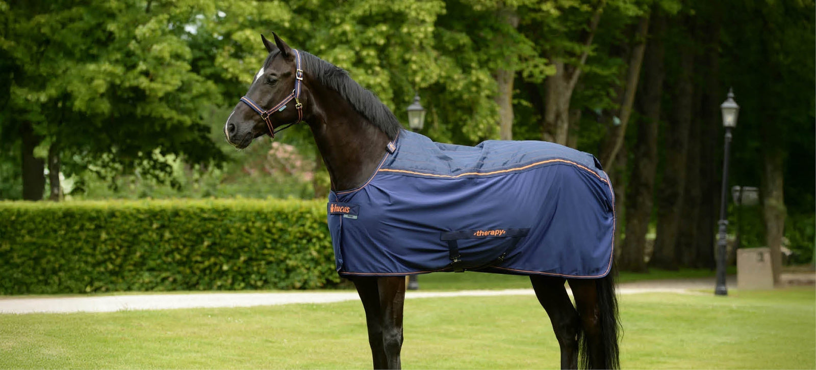 Must have: De therapie deken