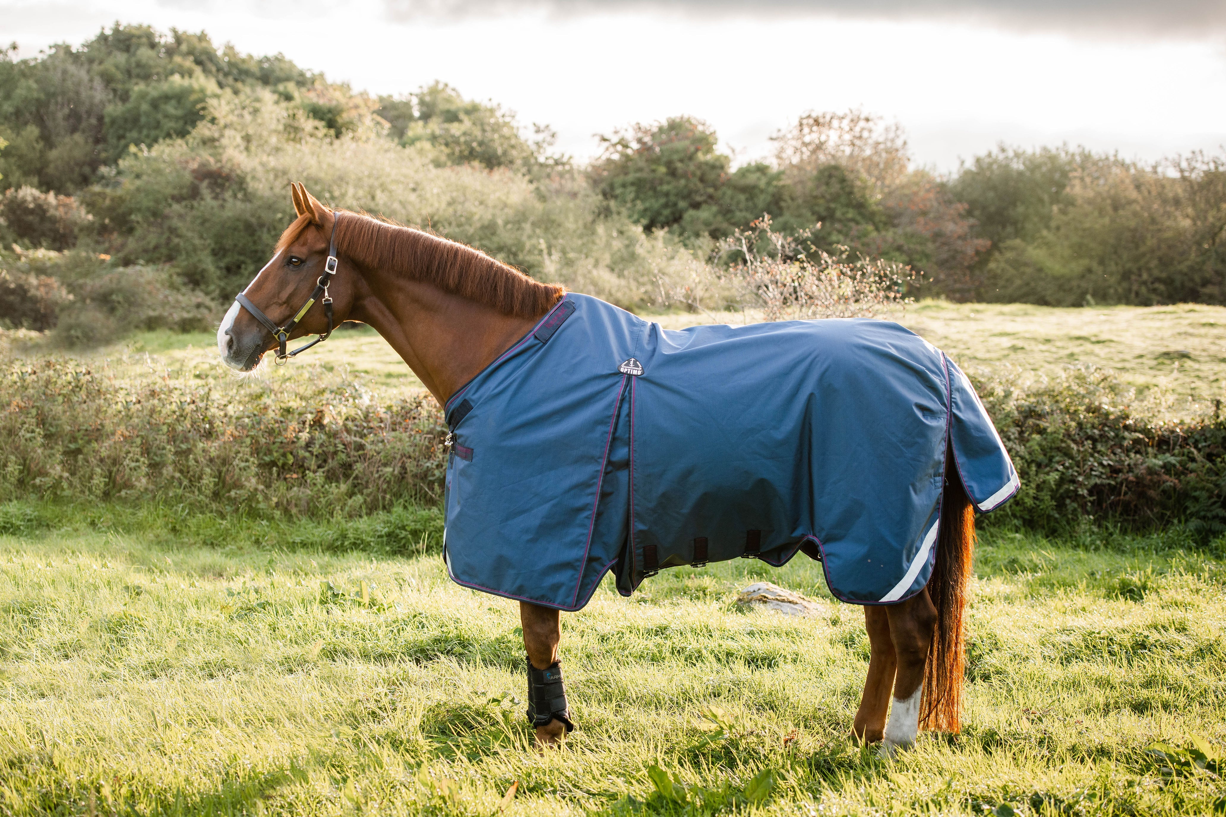 Alle Ins en Outs over de Rambo Optimo Turnout