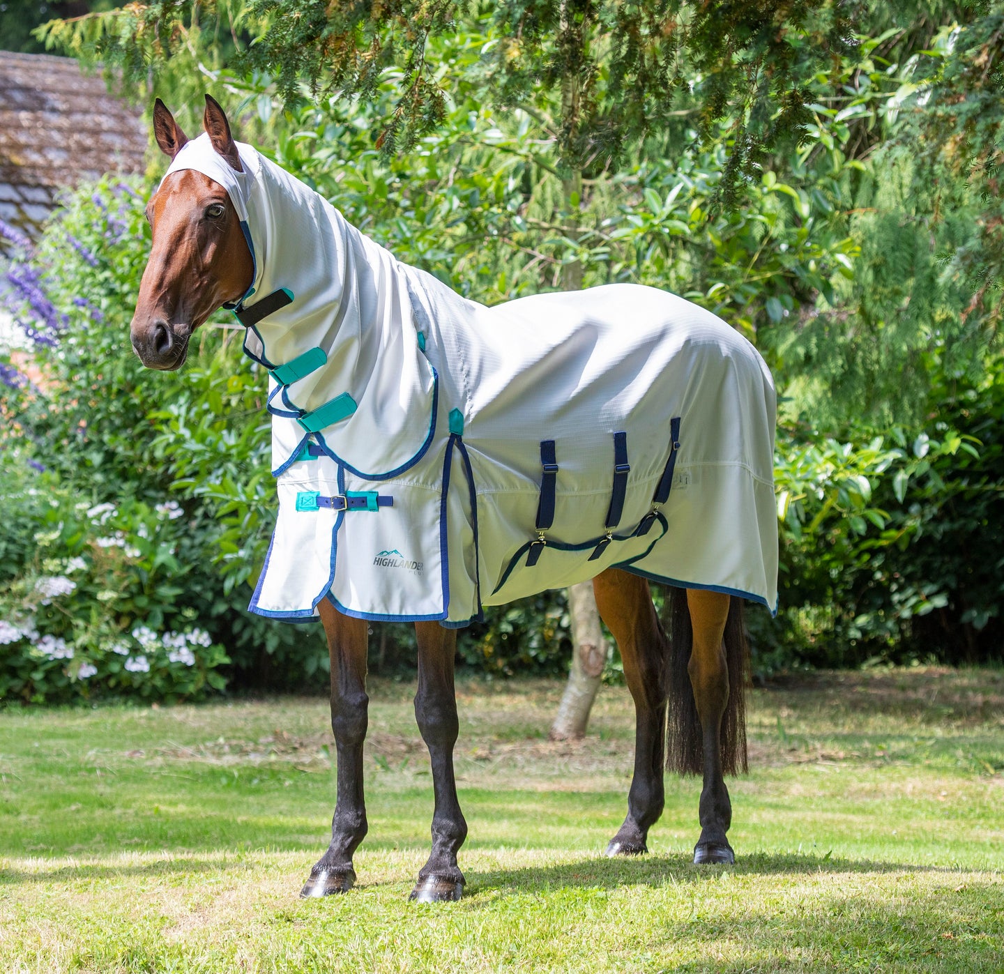 Zo zorg je ervoor dat jouw paard goed beschermd is tegen insecten!