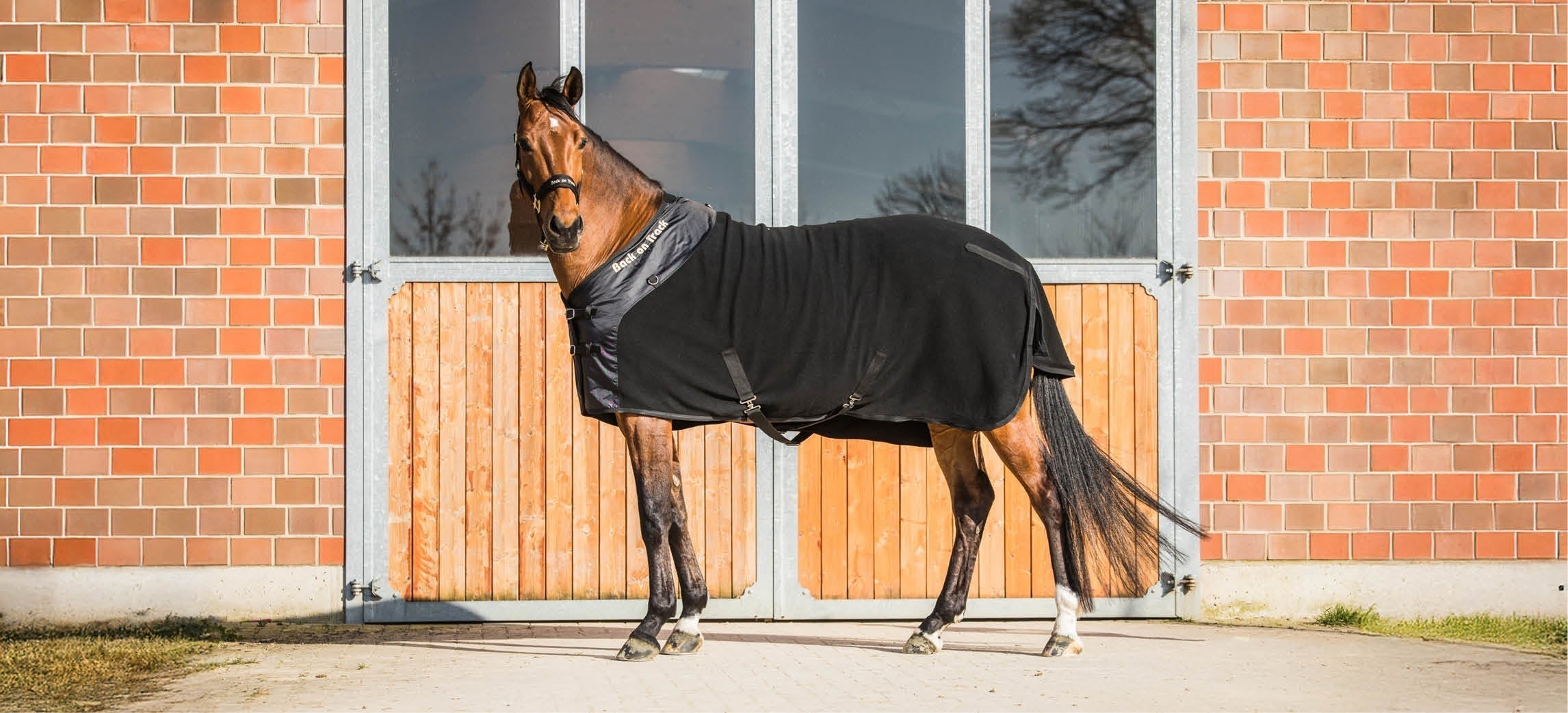 Wanneer gebruik je een zweetdeken voor je paard?