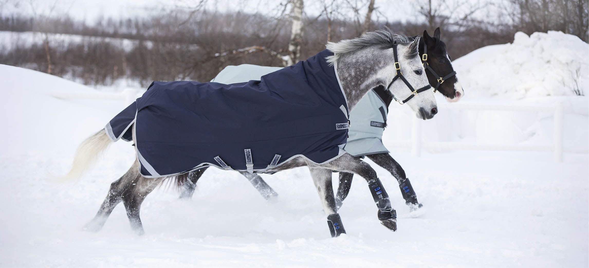 Winterdeken Guide: welke winterdeken heeft mijn paard nodig?
