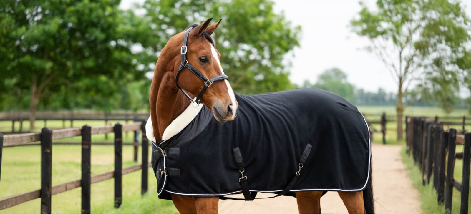 Wol of fleece deken voor je paard?