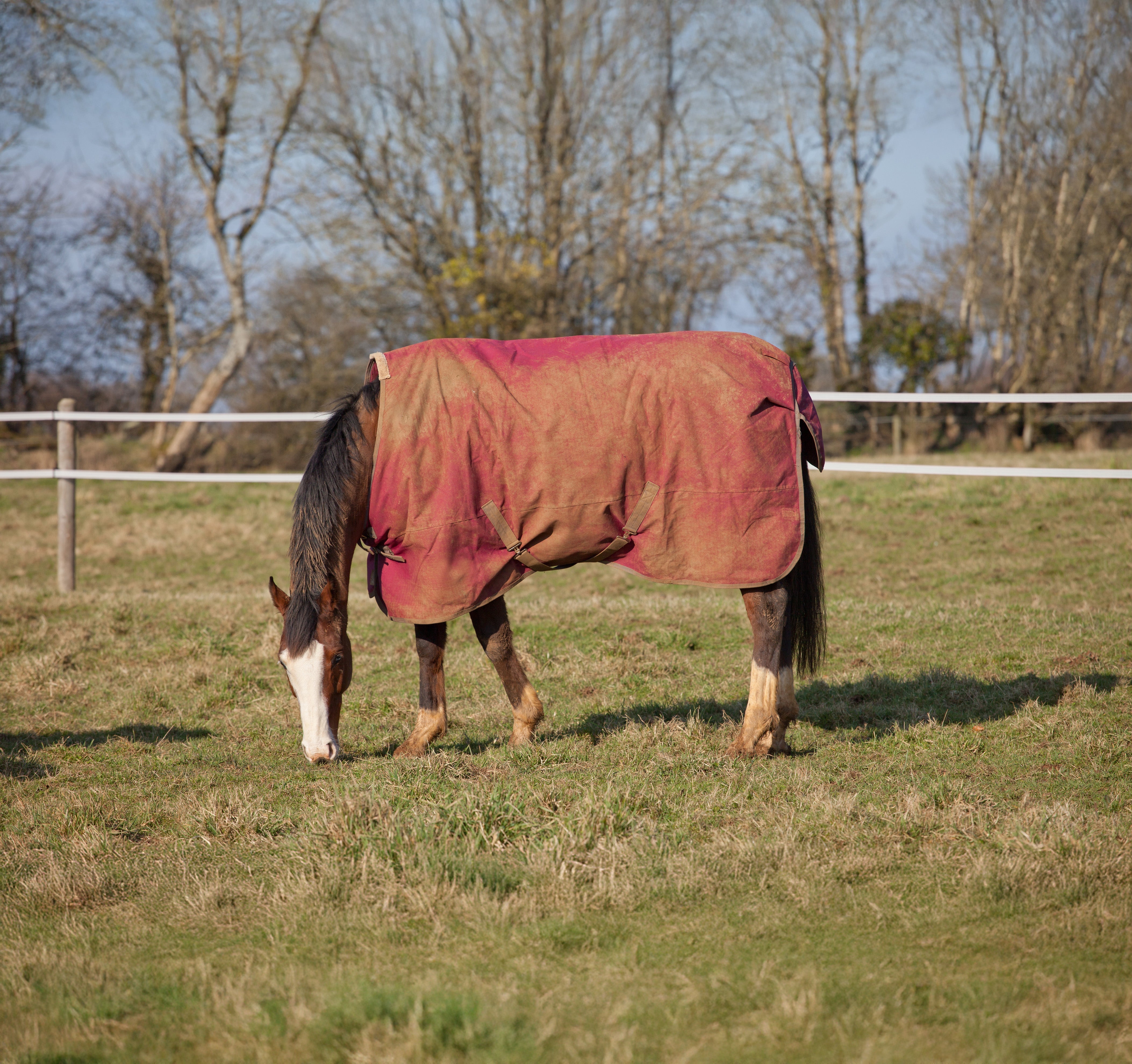Hoe was je een paardendeken?