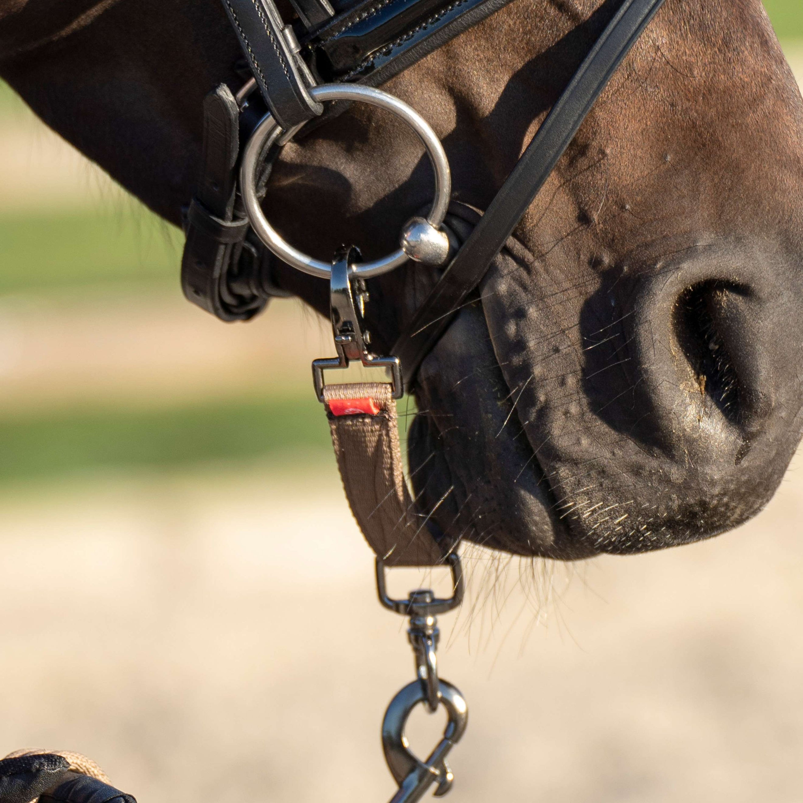 Imperial Riding Longeerbitstukje IRH Cappuccino Imperial Riding Longeerbitstukje IRH Cappuccino