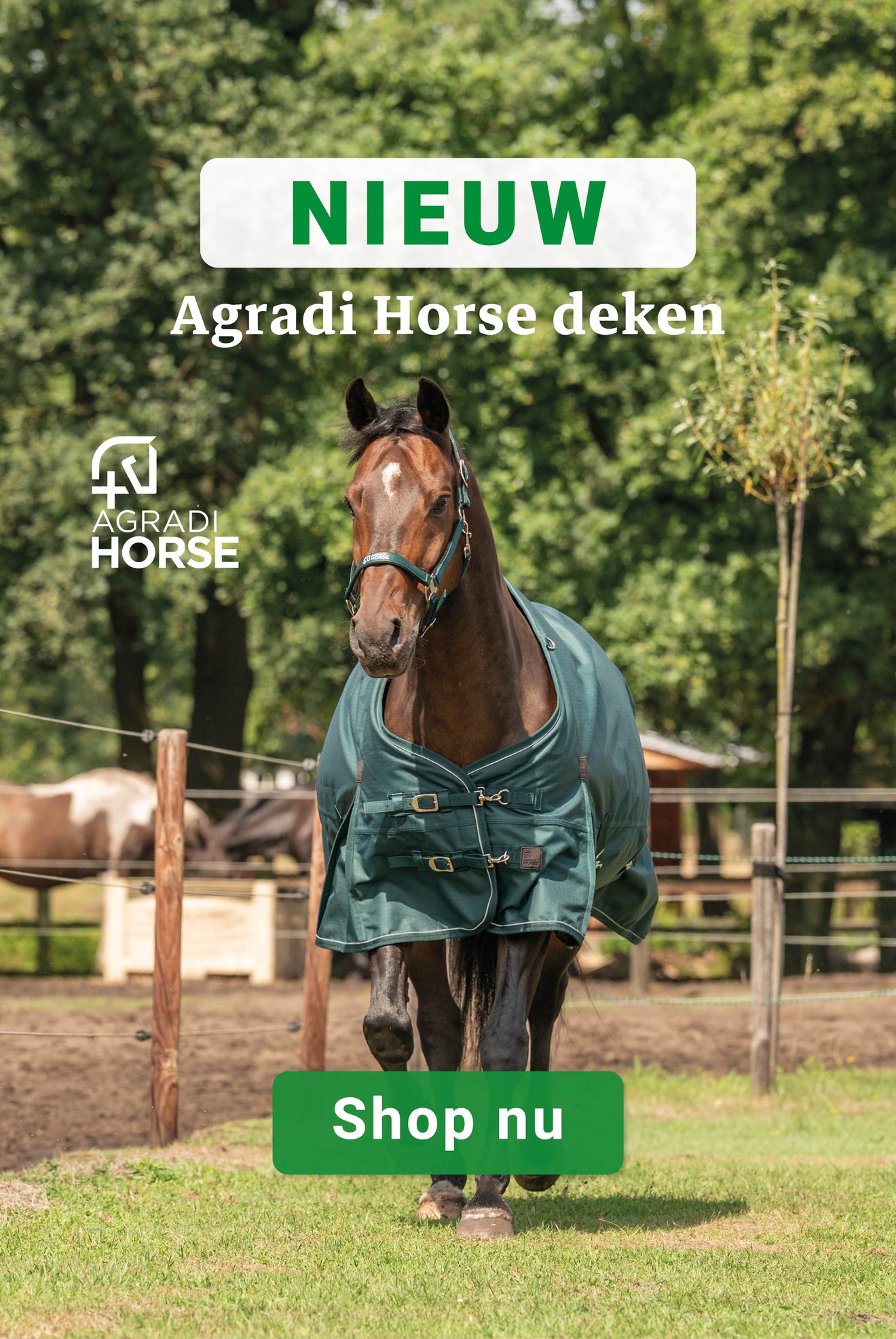 Agradi Horse deken